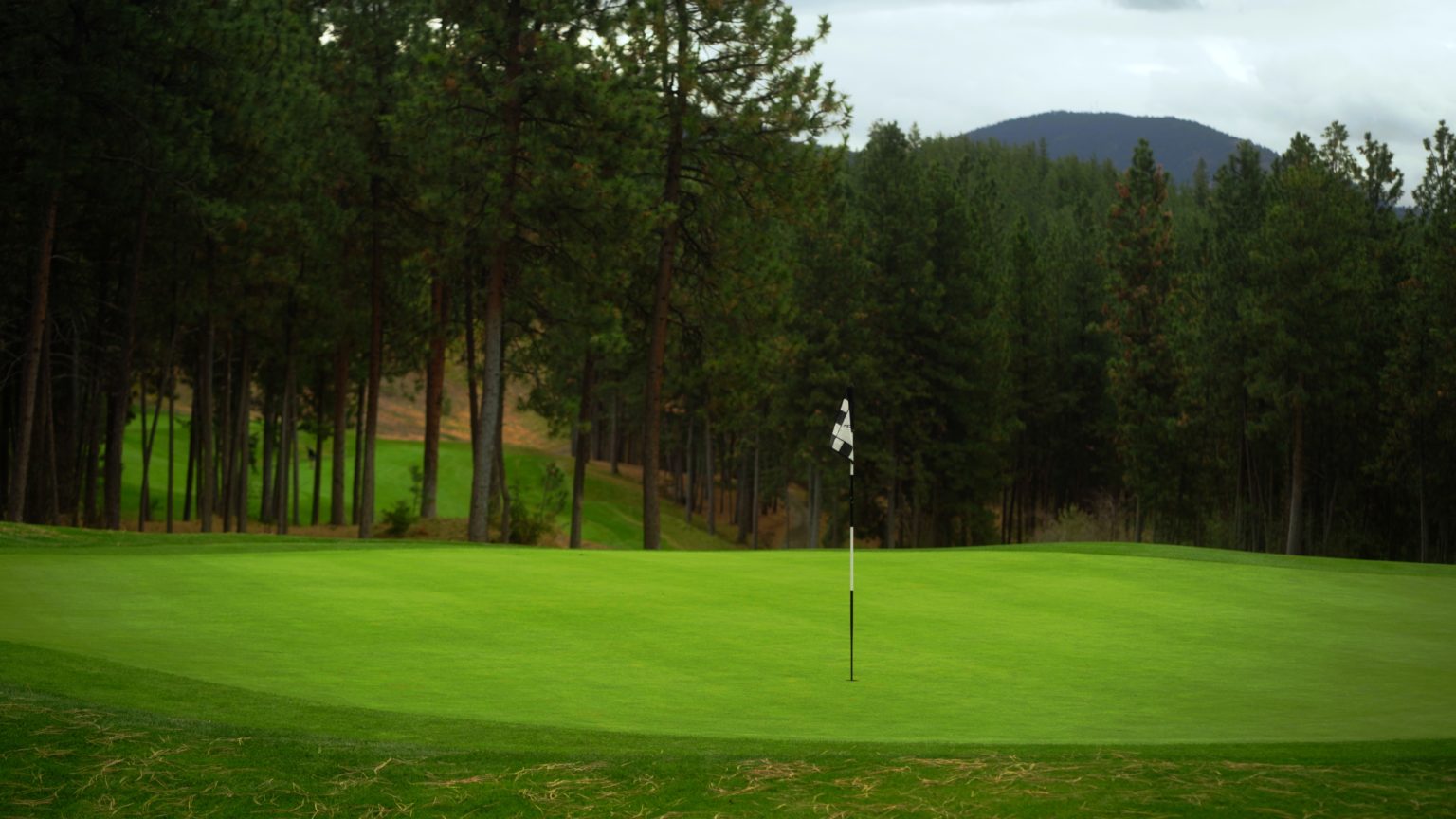 Featured Golf Course The Quail at the Okanagan Golf Club Golf Kelowna